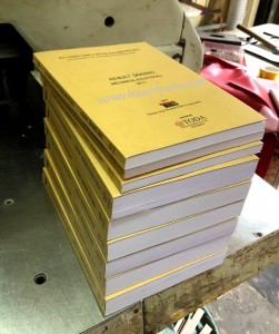 Hoạt động sản xuất An Phạm