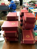 Hoạt động sản xuất An Phạm