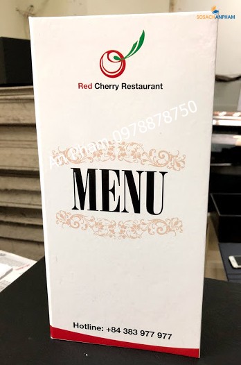 Menu nhà hàng - Phong cách - Ấn tượng
